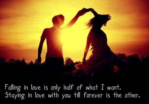 Fall in love with our quotes